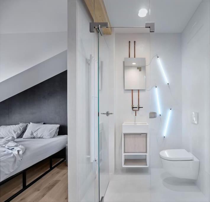Rooftop Penthouse With Terrace, Prime Location 布拉格 外观 照片